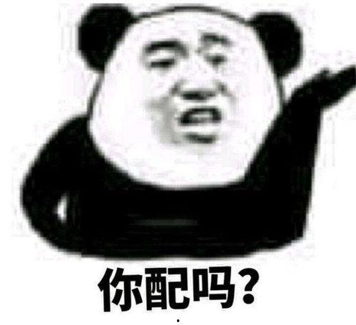 表情包配文字,表情包配文字背后的欢乐故事